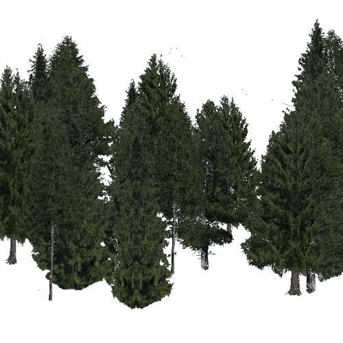 Screenshot of Conifer dense, cold and temperate