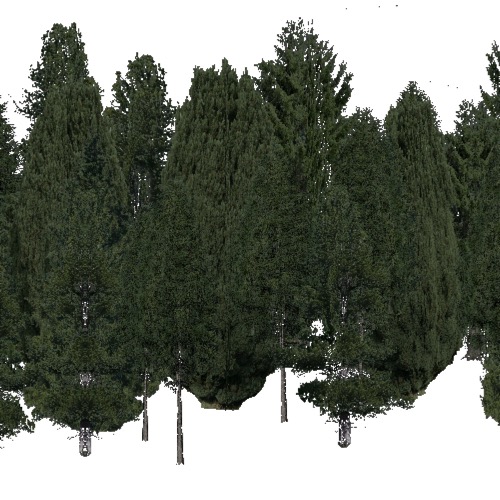 Screenshot of Conifer dense, hot, wet