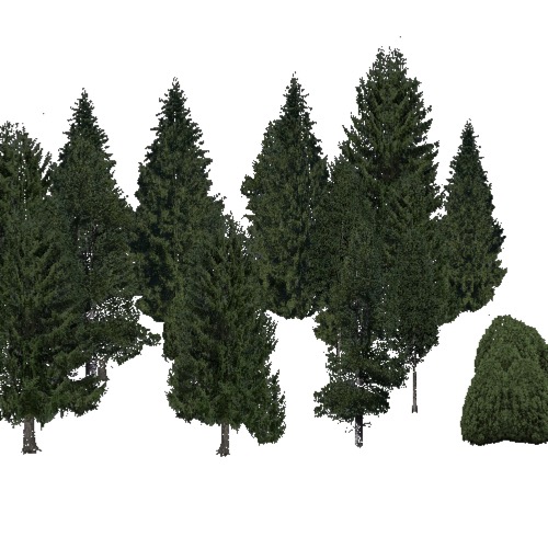 Screenshot of Conifer dense, very cold, dry
