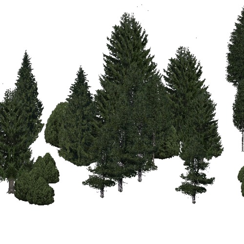 Screenshot of Conifer dense, very cold, not dry