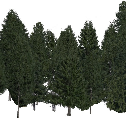 Screenshot of Conifer dense, warm, dry and semi-dry