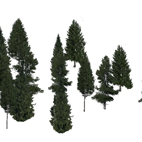 Screenshot of Conifer sparse, cold and temperate
