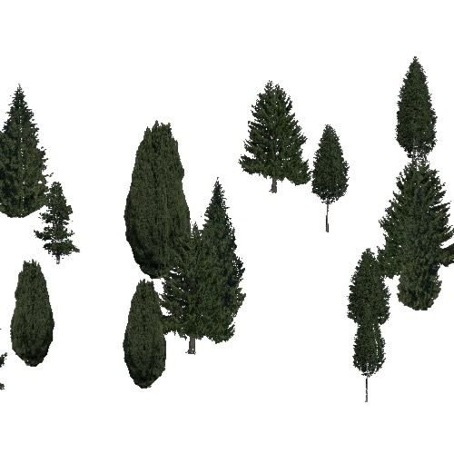 Screenshot of Conifer sparse, hot, dry