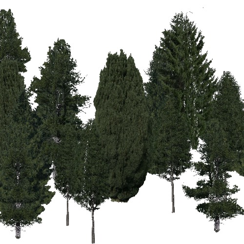 Screenshot of Conifer sparse, hot, wet