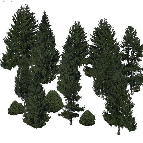 Screenshot of Conifer sparse, very cold