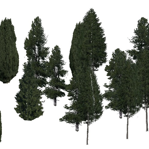 Screenshot of Conifer sparse, warm, wet