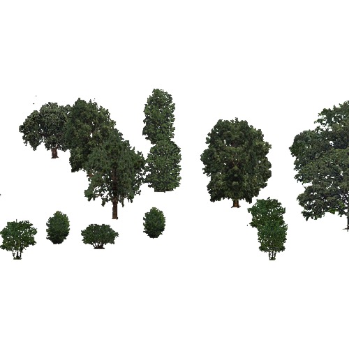 Screenshot of USA Forest, California Coastal Redwood, Deciduous Sparse