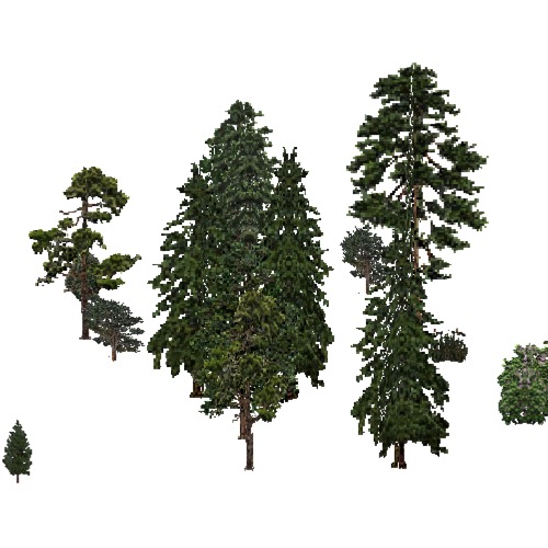 Screenshot of USA Forest, California Coastal Redwood, Evergreen Sparse