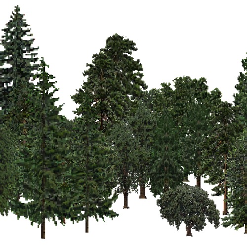 Screenshot of USA Forest, California Coastal Redwood, Mixed Dense