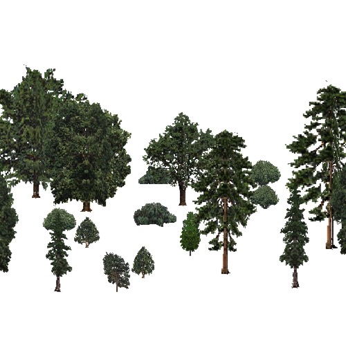 Screenshot of USA Forest, California Coastal Redwood, Mixed Sparse