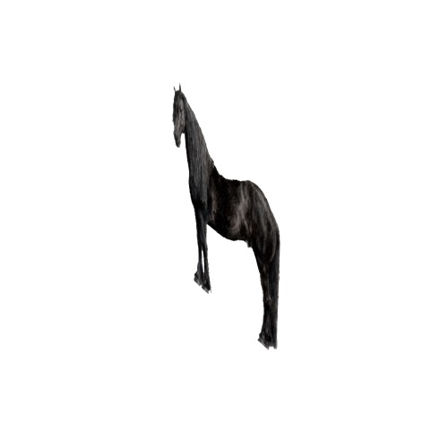 Screenshot of Horse, black