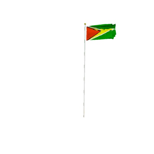 Screenshot of Flag, Guyana