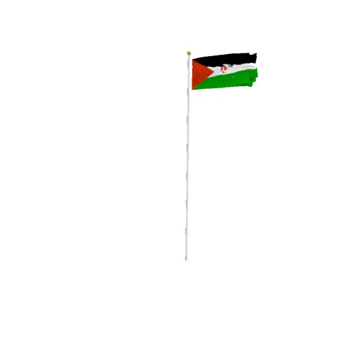 Screenshot of Flag, Sahrawi Arab Democratic Republic