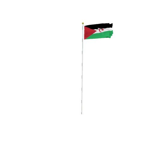 Screenshot of Flag, Western Sahara