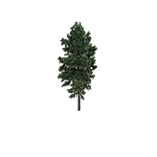 Screenshot of Tree, Alnus (Alder), 21m