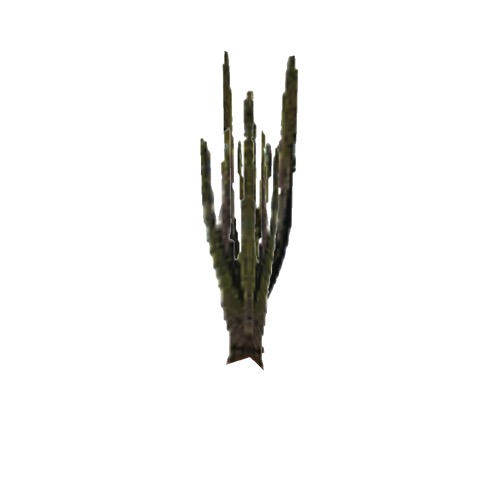 Screenshot of Cactus, Carnegiea (Saguaro), 7.5m