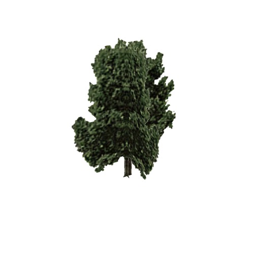 Screenshot of Tree, Carpinus (Hornbeam), 18m