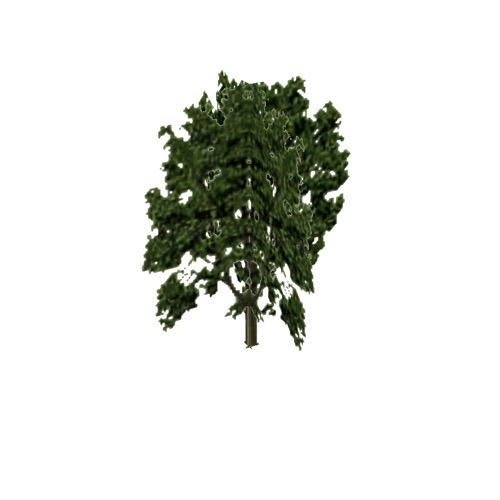 Screenshot of Tree, Fraxinus (Ash), 22m