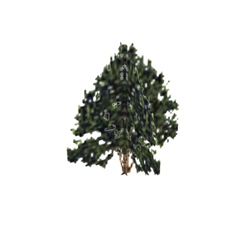 Screenshot of Tree, Juniperus, Californica (California Juniper), 6m