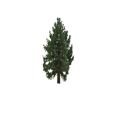 Screenshot of Tree, Larix (Larch), 19m