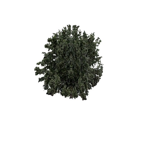 Screenshot of Tree, Olea (Olive), 10m