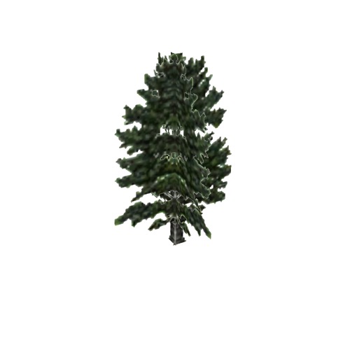 Screenshot of Tree, Pinus, Radiata (Monterey Pine), 15m