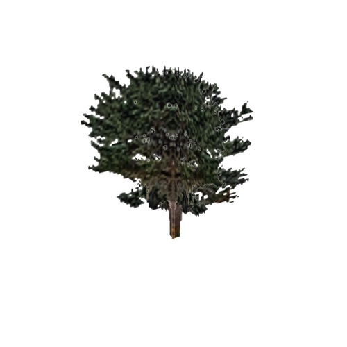 Screenshot of Tree, Pinus (Pine), 9.5m