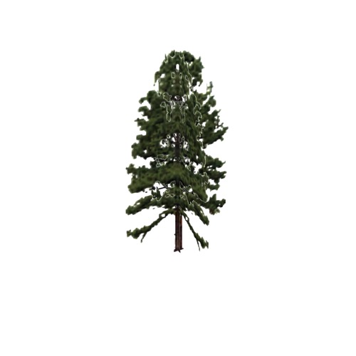 Screenshot of Tree, Pinus Taeda (Loblolly Pine), 22m