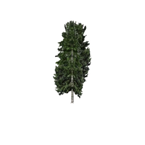 Screenshot of Tree, Populus, Tremuloides (Quaking / Trembling Aspen), 14m