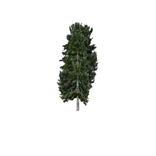 Screenshot of Tree, Populus, Tremuloides (Quaking / Trembling Aspen), 21m
