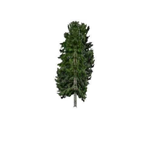 Screenshot of Tree, Populus (Aspen), 10m