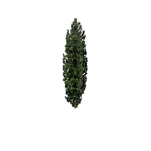 Screenshot of Tree, Populus (Aspen), 32m