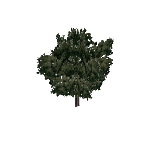 Screenshot of Tree, Quercus (Oak), 7m