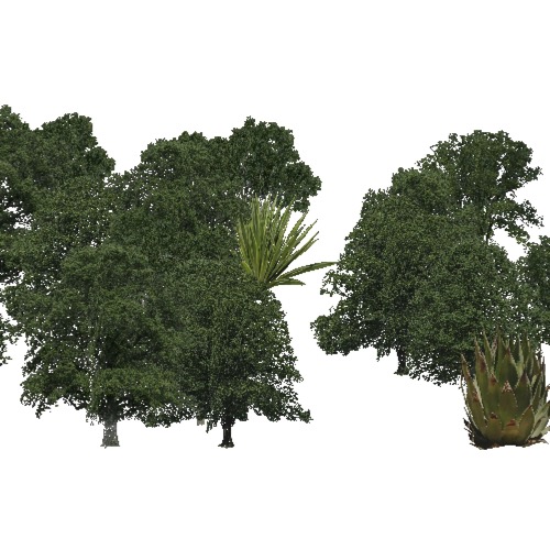 Screenshot of Broadleaf dense, hot, semi-dry