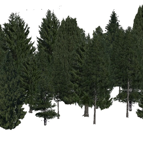 Screenshot of Conifer dense, hot, rain