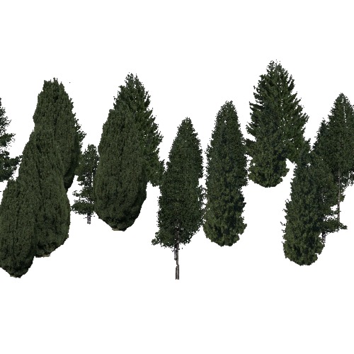 Screenshot of Conifer dense, hot, semi-dry