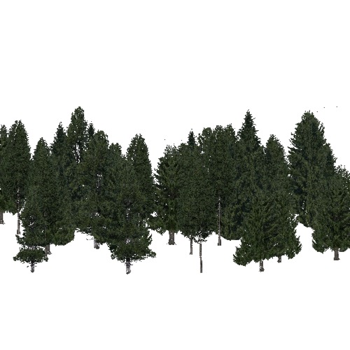 Screenshot of Conifer dense, temperate, 6-8m high