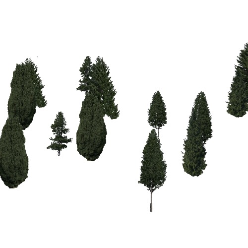 Screenshot of Conifer sparse, hot, semi-dry
