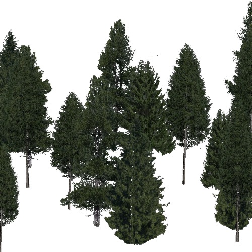 Screenshot of Conifer sparse, warm, rain