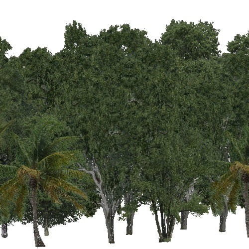 Screenshot of Rainforest, Dense