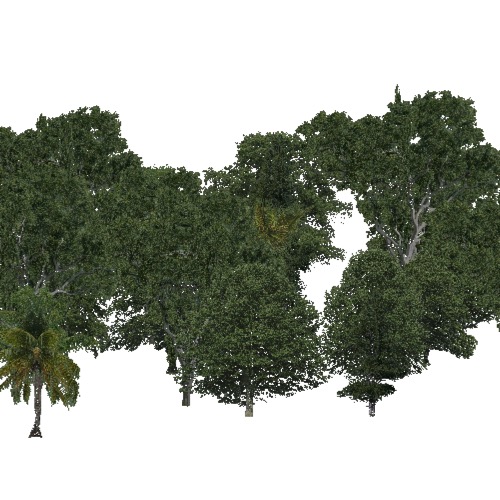 Screenshot of Rainforest, Sparse