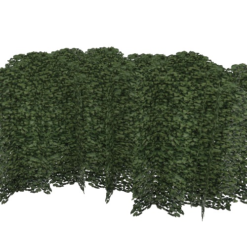 Screenshot of Laurus Nobilis (bay laurel) Hedge, 1.8-2.0m