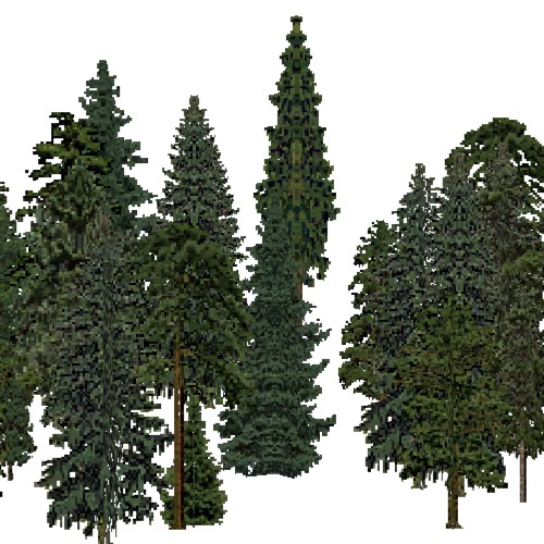 Screenshot of European Forest, Alpine, Conifer