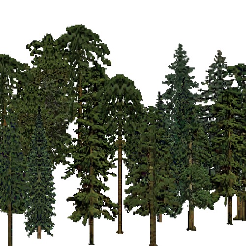 Screenshot of European Forest, Atlantic, Conifer