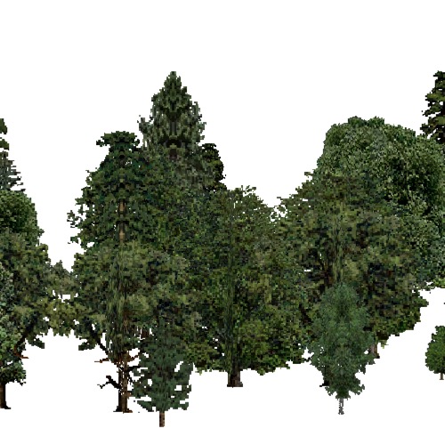 Screenshot of European Forest, Atlantic, Mixed