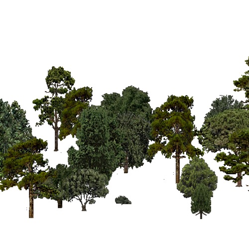 Screenshot of European Forest, Black Sea, Mixed