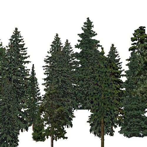 Screenshot of European Forest, Boreal, Conifer