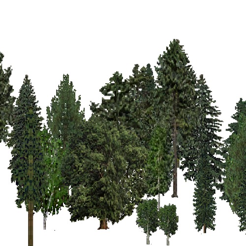 Screenshot of European Forest, Boreal, Mixed