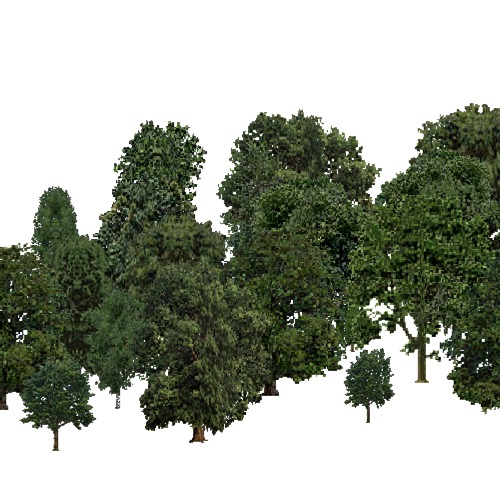 Screenshot of European Forest, Continental, Broad Leaf