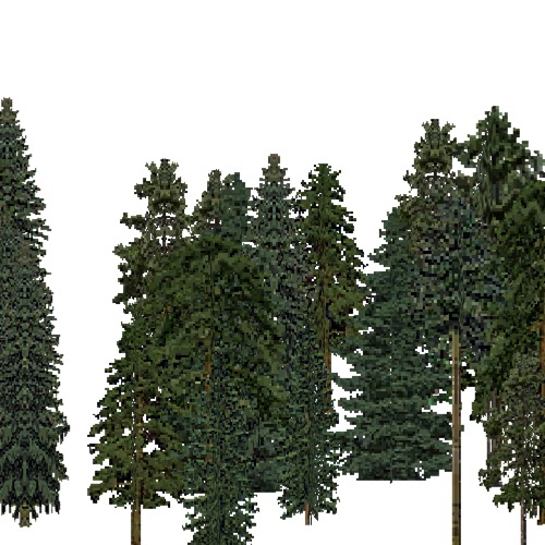 Screenshot of European Forest, Continental, Conifer